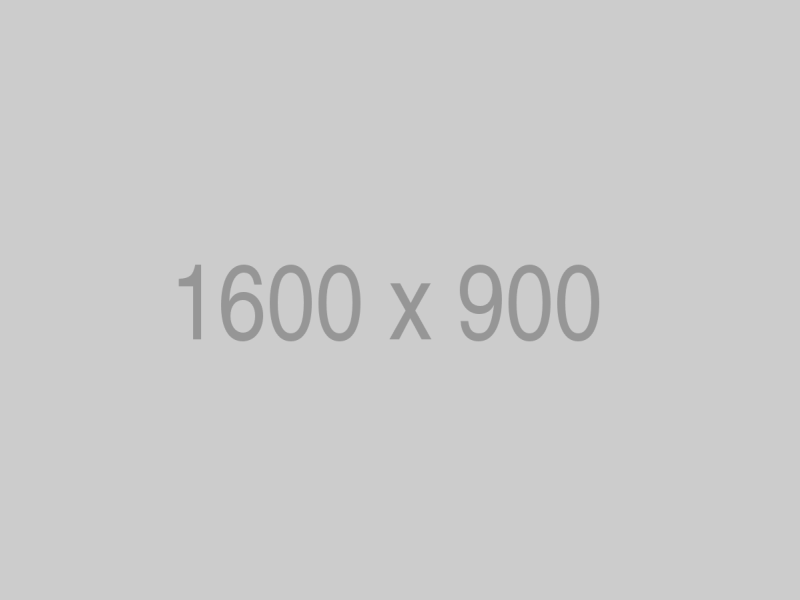 Alt Text